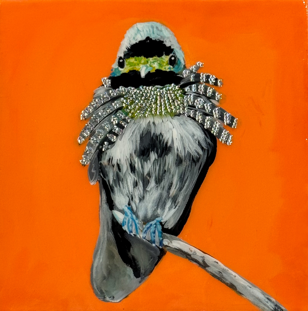 Allister- Ashley Longshore