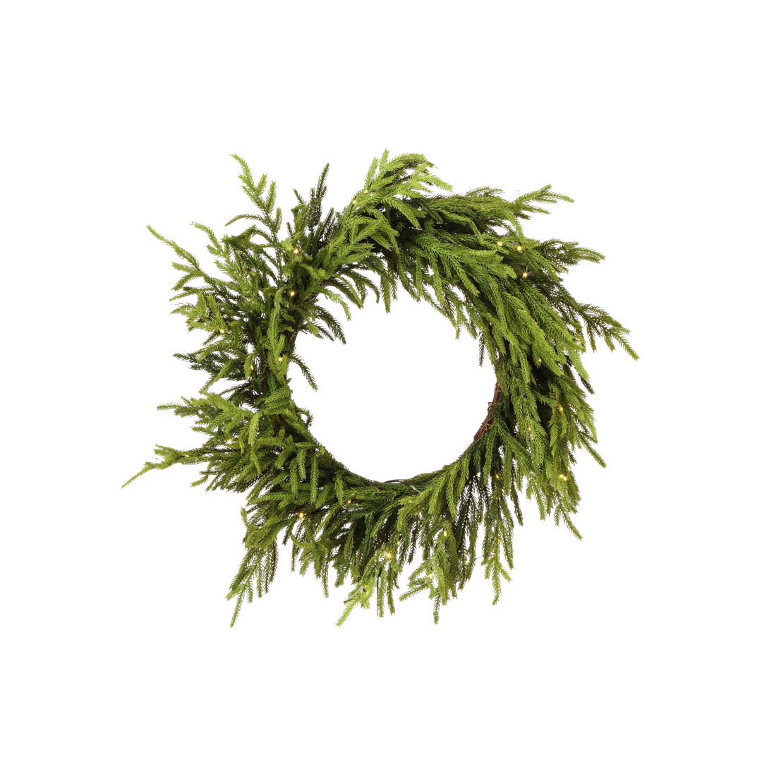 24" Norfolk Pine Wreath- Real Touch with LED Lights