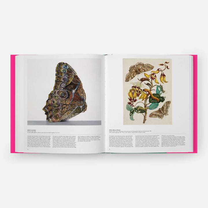 Butterfly: Exploring the World of Lepidoptera