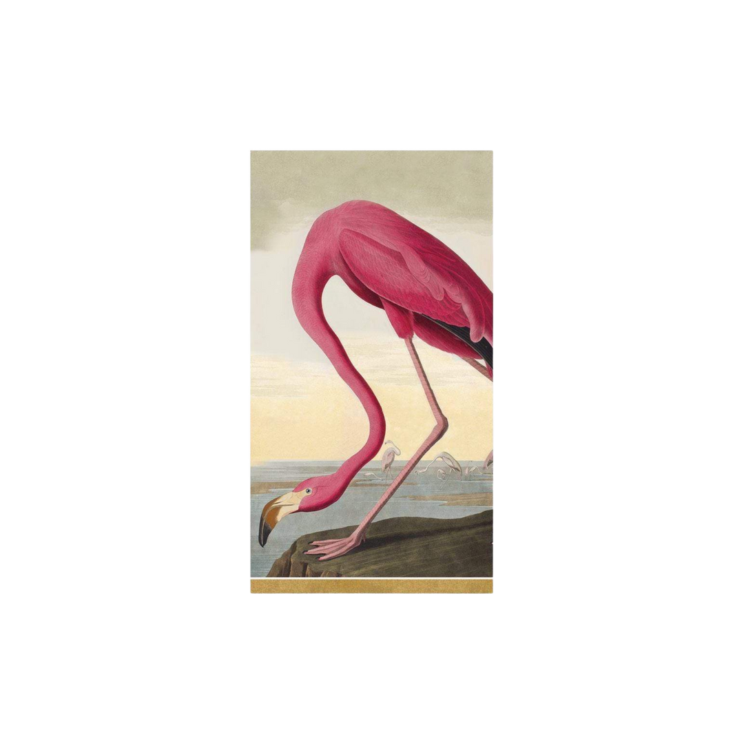 Caspari Audubon Birds Paper Guest Towels – Set of 12 featuring pink flamingo illustration