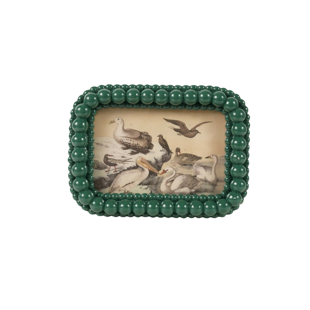 Green bubble textured 4x6 photo frame with beaded border by Creative Co-Op, holding a vintage bird illustration
