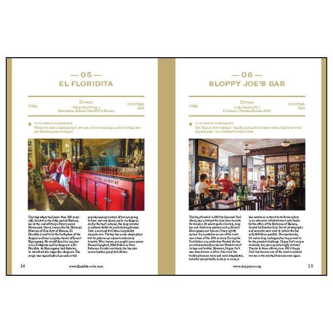 Inside page mockup of 150 Bars You need to visit before you die