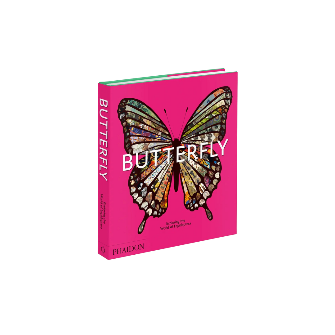 Book titled 'Butterfly' with a colorful butterfly illustration on a pink cover.
