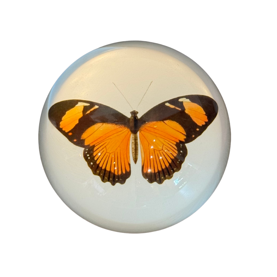 monarch butterfly paper weight Mood 2025
