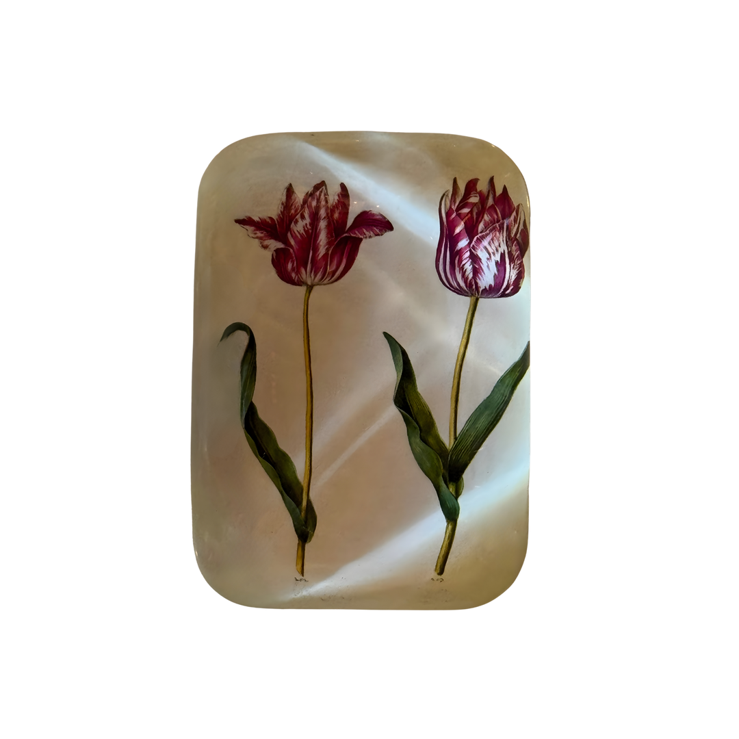 Tulip Glass Paperweight featuring vintage botanical tulip illustration under curved glass, elegant decorative accent for home or office décor.