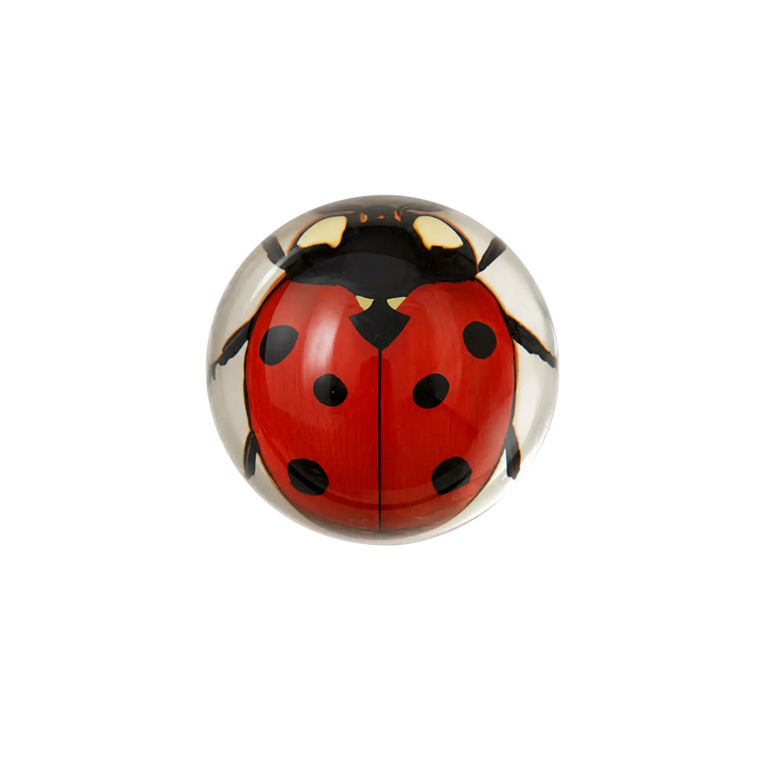 Saint Austin Lady Bug Paperweight - vivid ladybug illustration under round glass dome