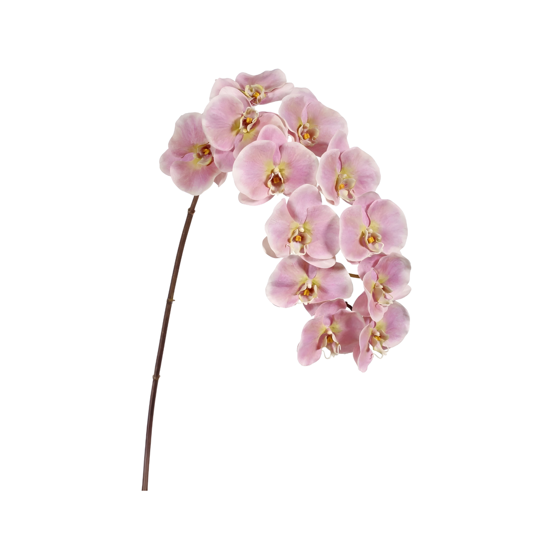 Light pink Faux phalaenopsis orchid stem by Winward with natural touch petals, 44 inches tall