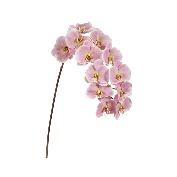 Light pink Faux phalaenopsis orchid stem by Winward with natural touch petals, 44 inches tall