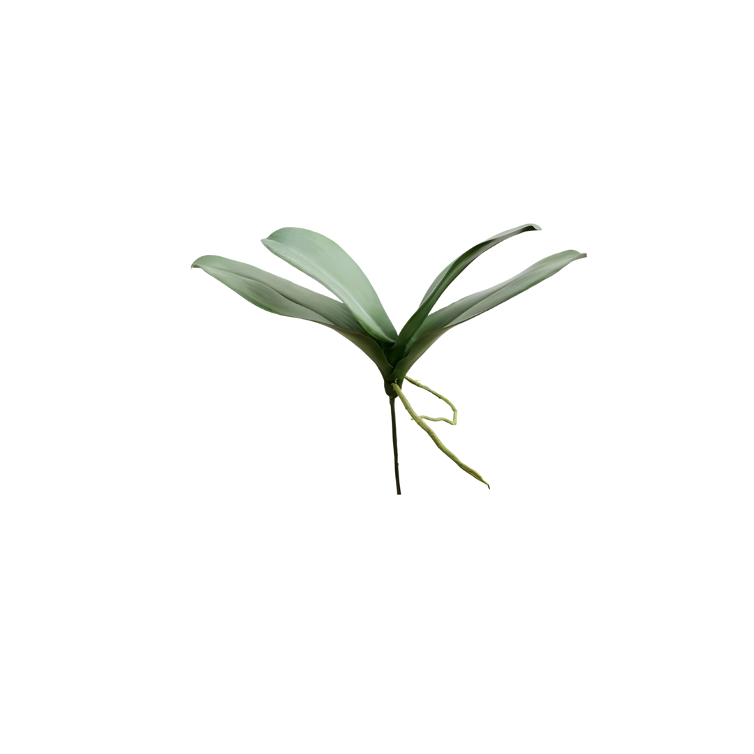 Faux phalaenopsis orchid leaves by Winward with realistic green foliage, 13.5 inches wide