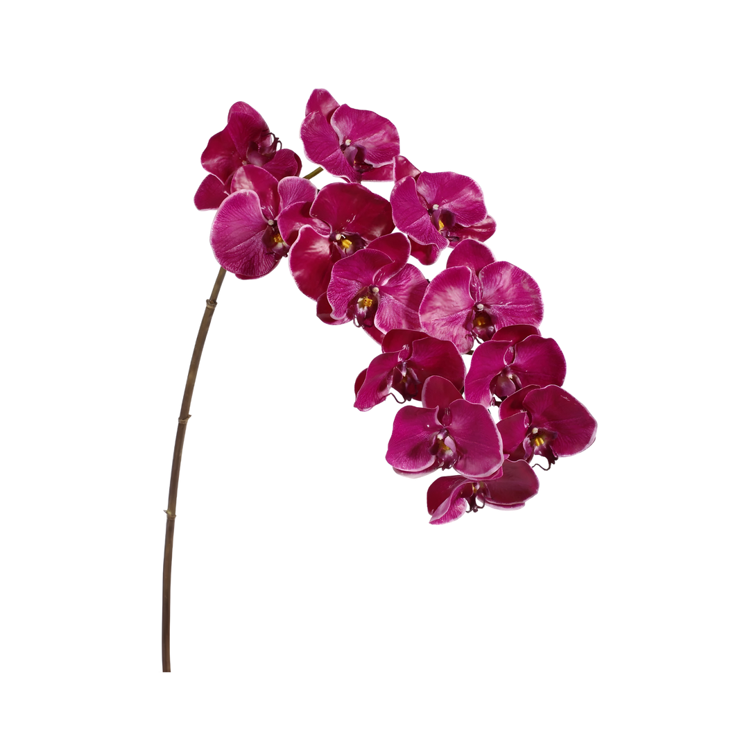 Fuchsia orchid Faux phalaenopsis orchid stem by Winward with natural touch petals, 44 inches tall