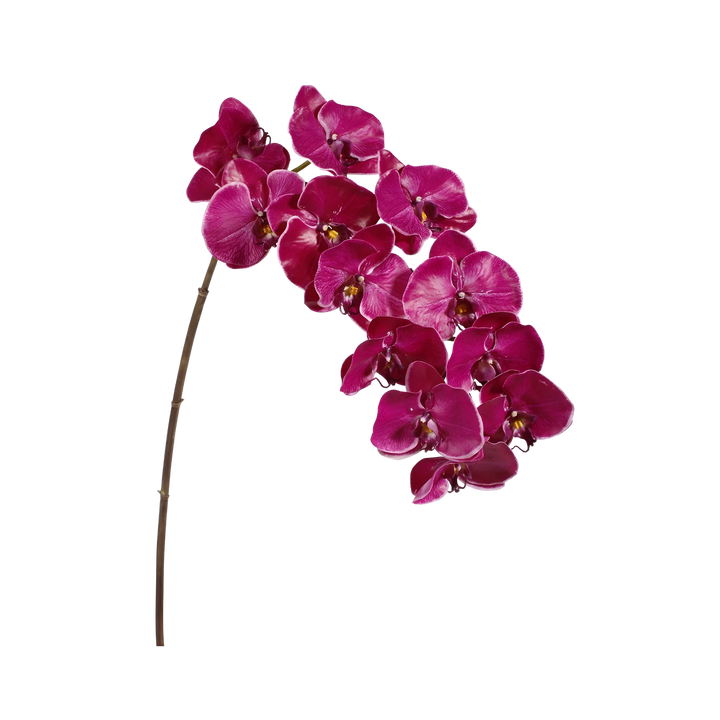 Fuchsia orchid Faux phalaenopsis orchid stem by Winward with natural touch petals, 44 inches tall