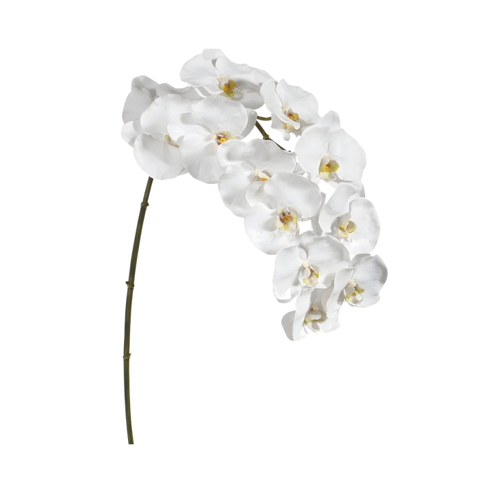 White orchid Faux phalaenopsis orchid stem by Winward with natural touch petals, 44 inches tall