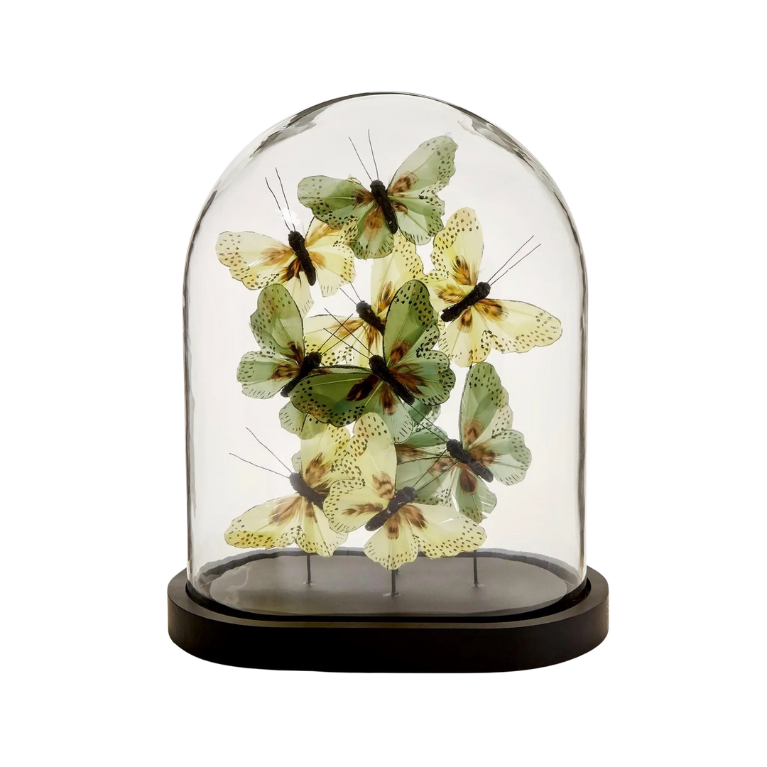 Butterfly dome sculpture with handcrafted feather butterflies under a clear glass cloche on a black base, Mood by DMJ