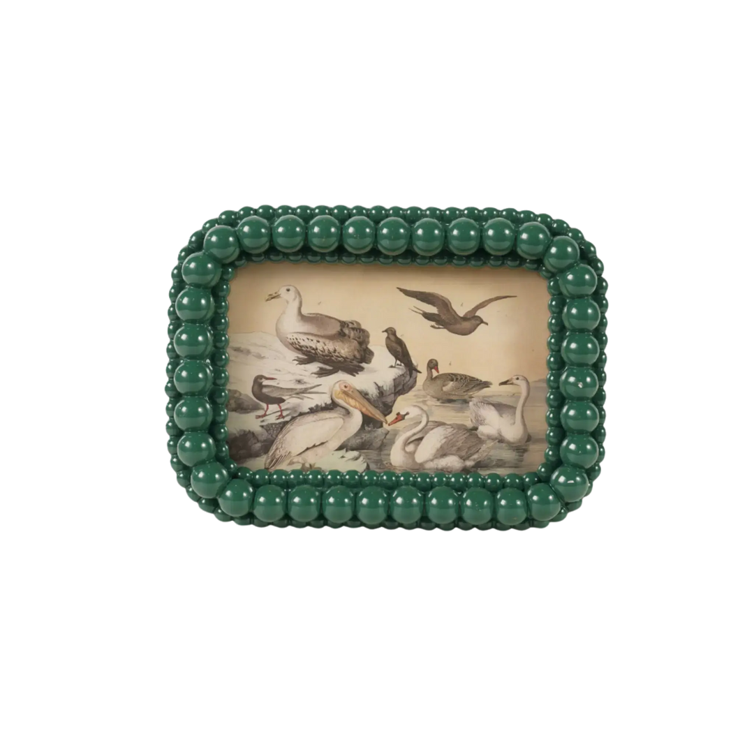 Green bubble textured 4x6 photo frame with beaded border by Creative Co-Op, holding a vintage bird illustration
