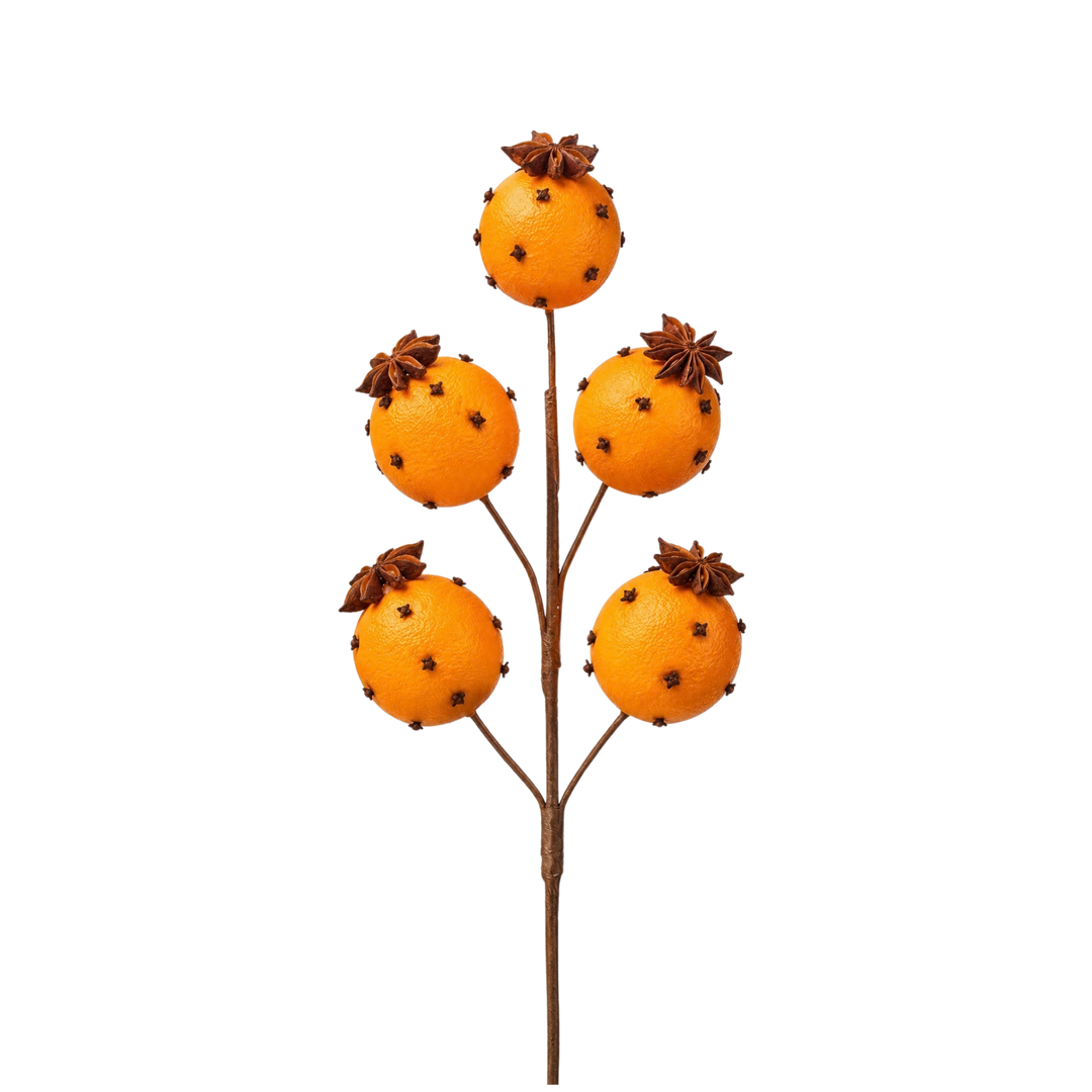Regency International pomander bundle pick from Mood by DMJ, five faux clove-studded oranges with star anise on a 19.5 inch Christmas pick