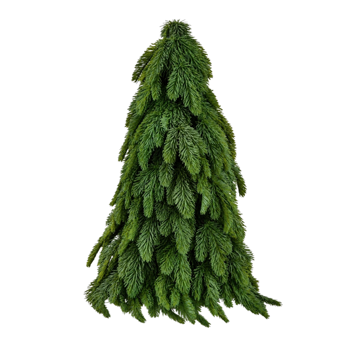 Regency International large 25 inch real touch noble fir tabletop Christmas tree from Mood by DMJ