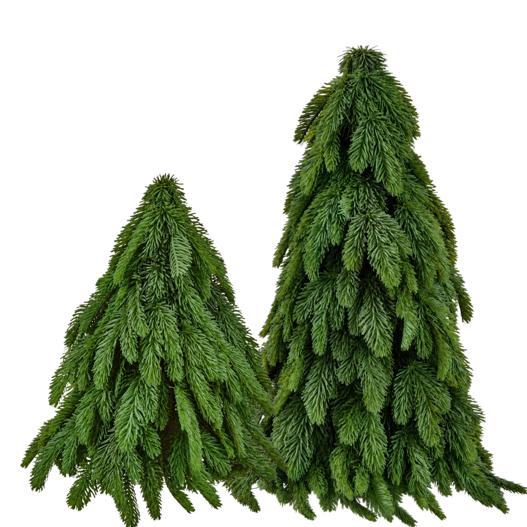 Regency International real touch noble fir tabletop Christmas trees from Mood by DMJ, small 17 inch and large 25 inch faux fir trees