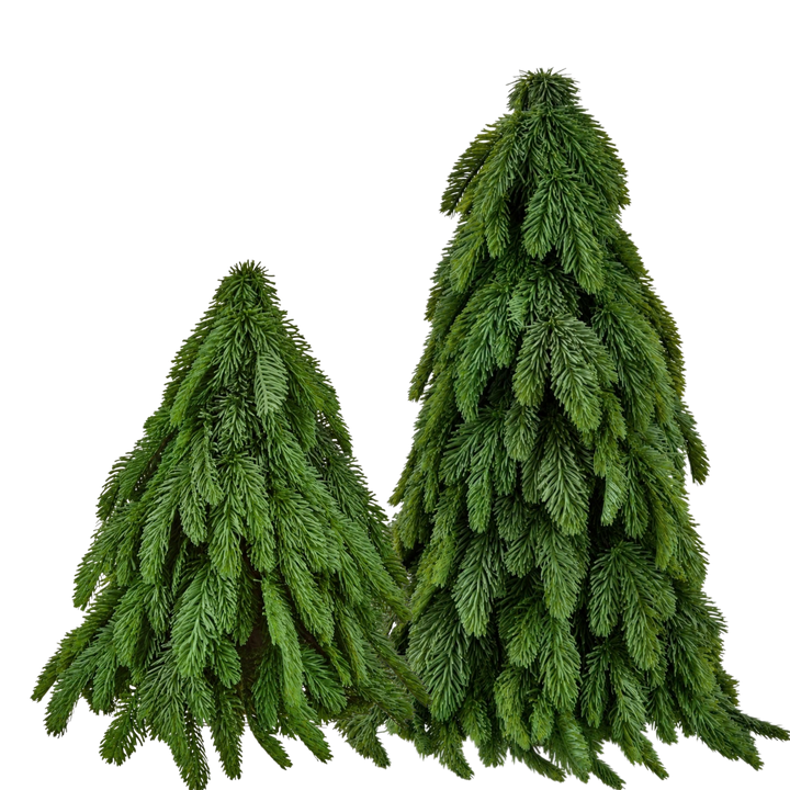 Regency International real touch noble fir tabletop Christmas trees from Mood by DMJ, small 17 inch and large 25 inch faux fir trees