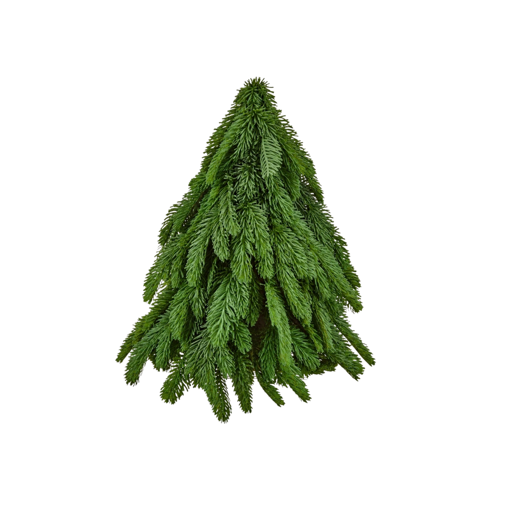 Regency International small 17 inch real touch noble fir tabletop Christmas tree from Mood by DMJ