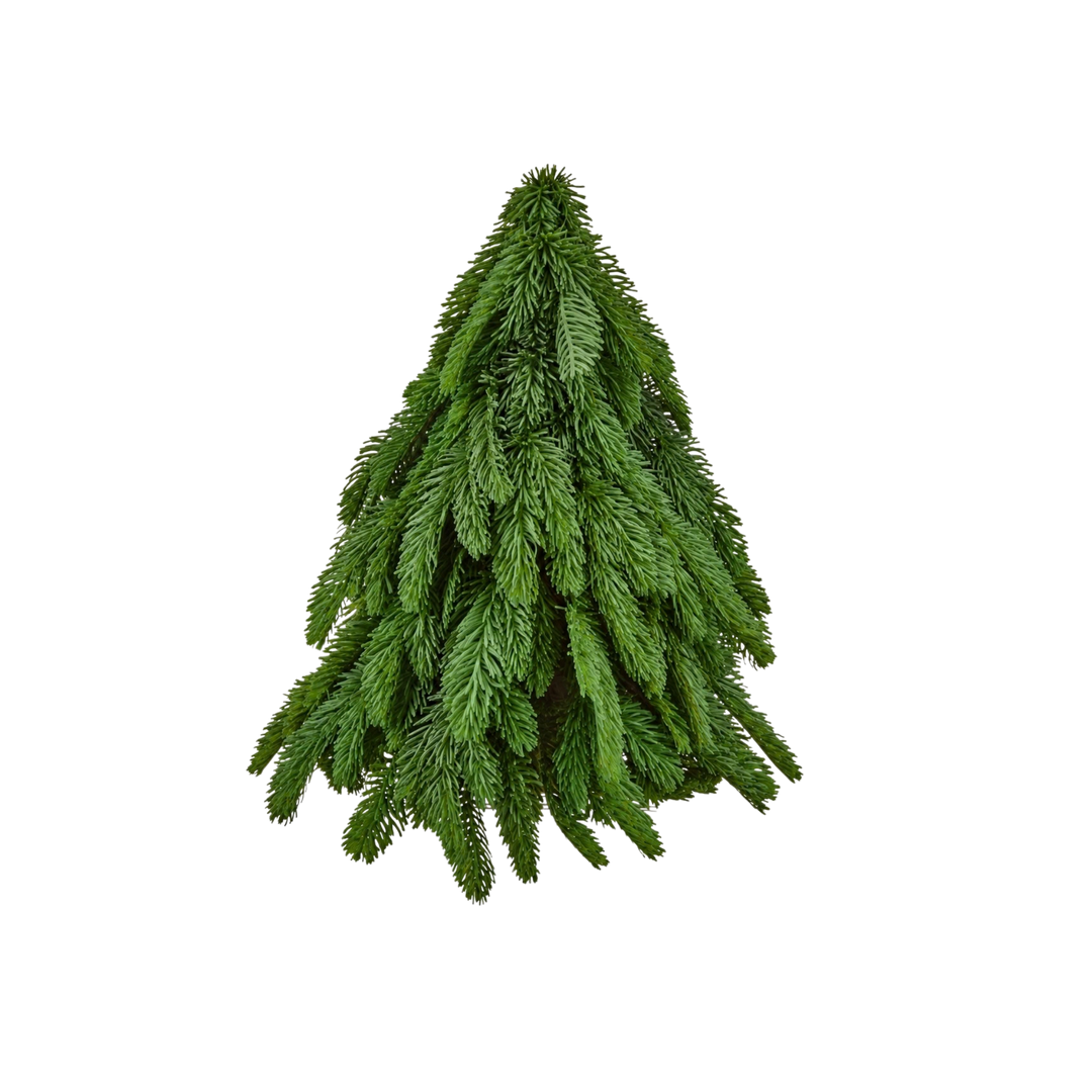 Regency International small 17 inch real touch noble fir tabletop Christmas tree from Mood by DMJ