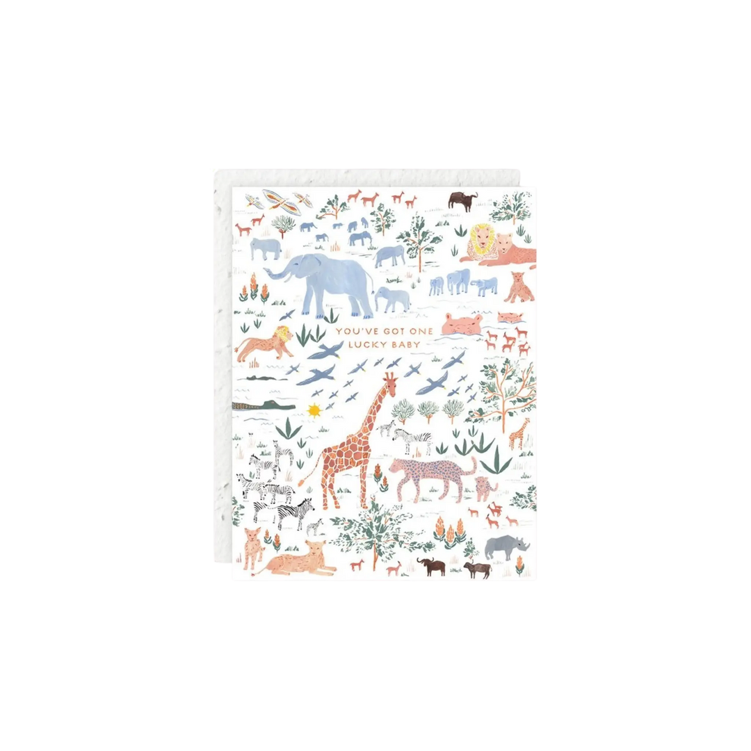 You've Got One Lucky Baby Mini Card by Seedlings