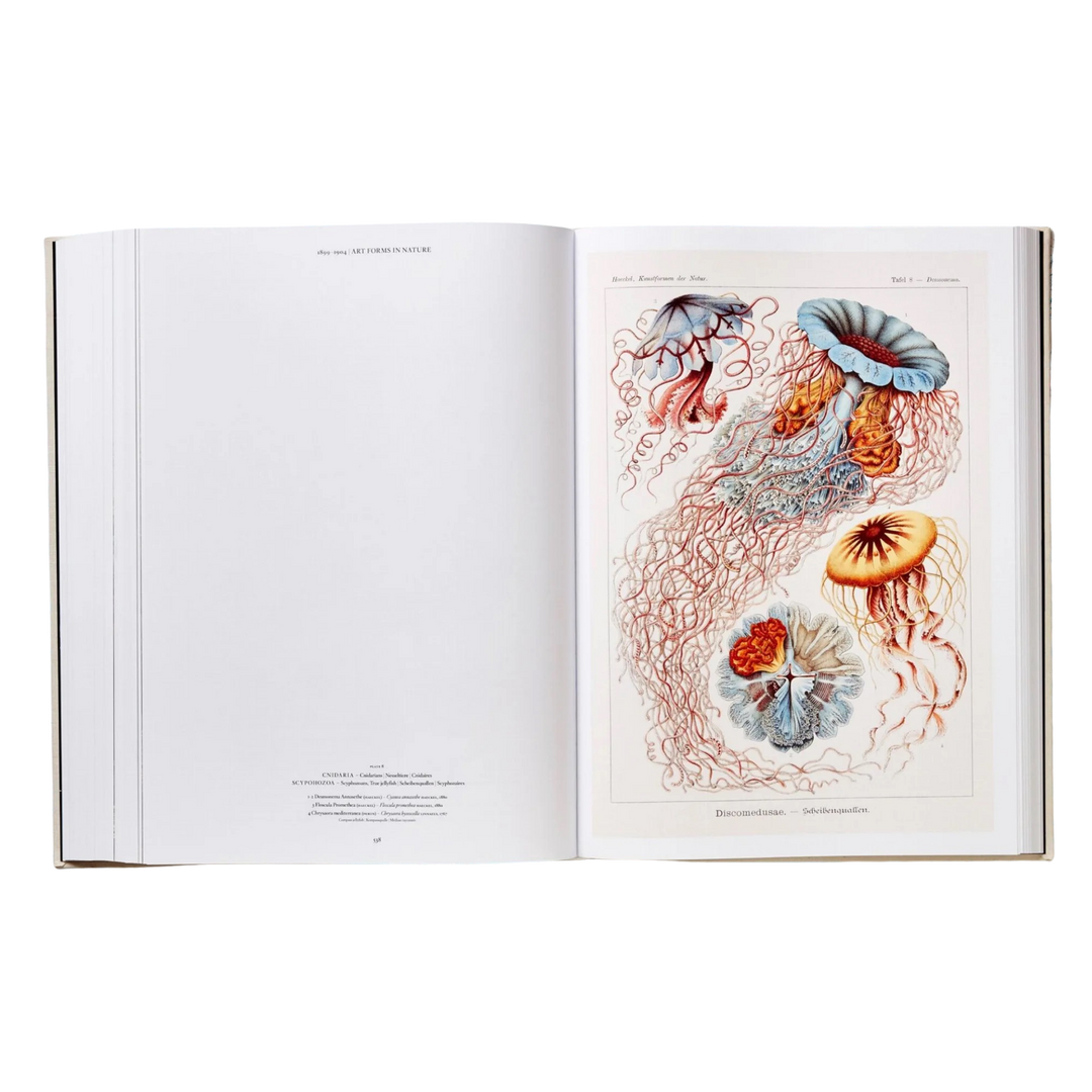 Interior spread of The Art and Science of Ernst Haeckel XXL book by TASCHEN showing a hand-coloured jellyfish plate