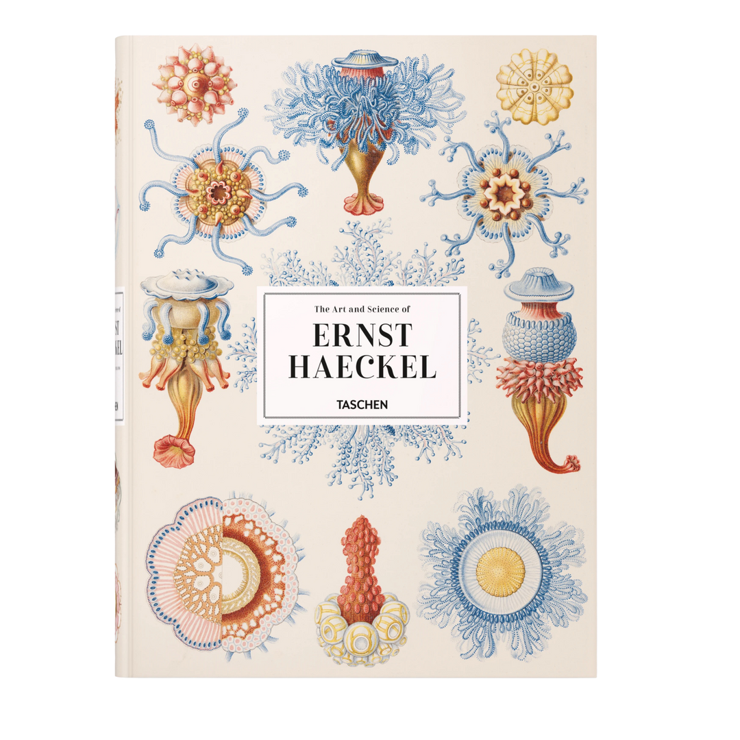 The Art and Science of Ernst Haeckel XXL book by TASCHEN, cream cover with vintage jellyfish and sea urchin illustrations