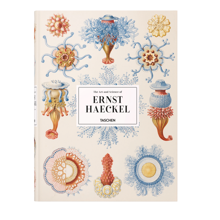 The Art and Science of Ernst Haeckel XXL book by TASCHEN, cream cover with vintage jellyfish and sea urchin illustrations