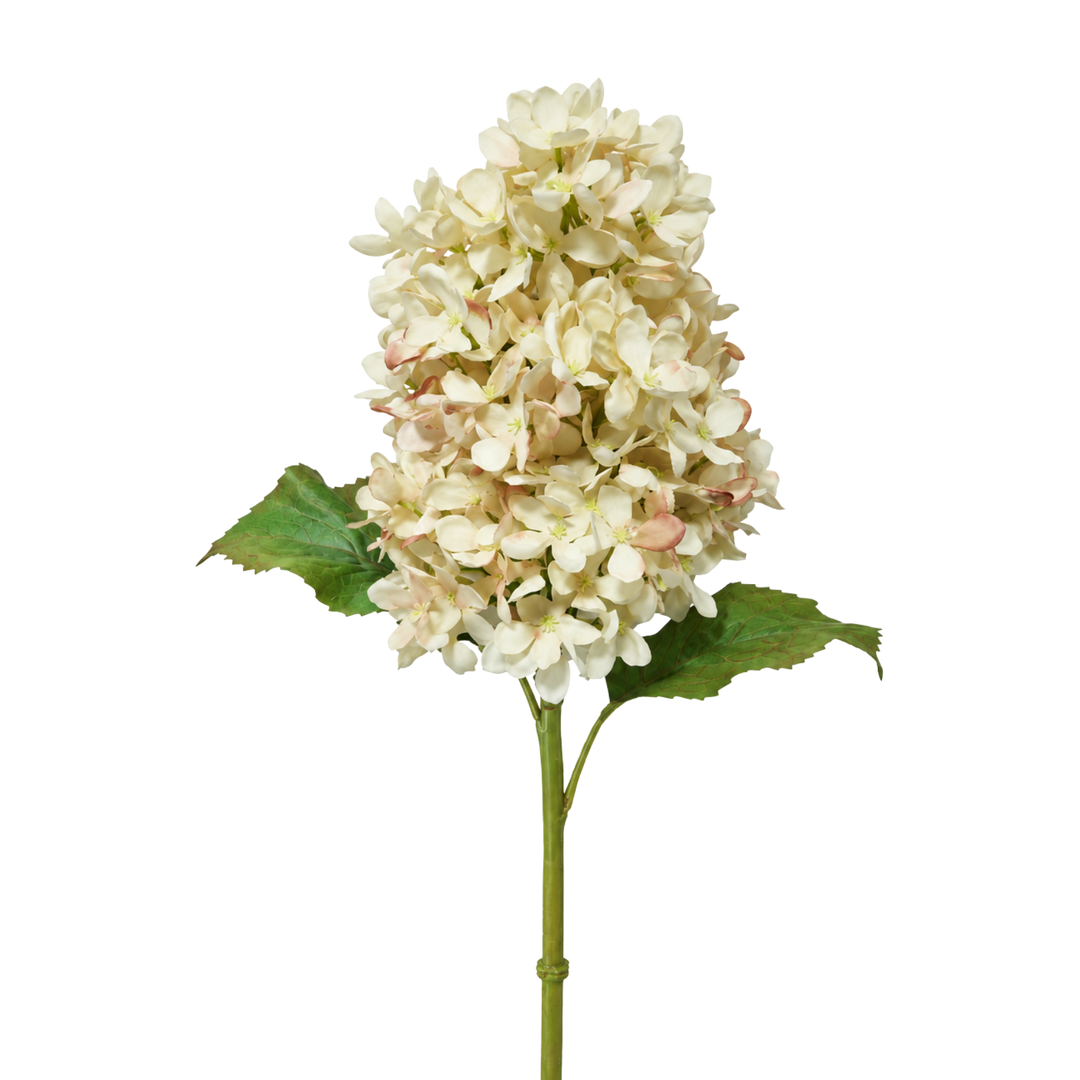 Winward natural touch antique hydrangea stem, a 21 inch real touch faux panicle hydrangea in cream with blush edges and green leaves, from Mood by DMJ