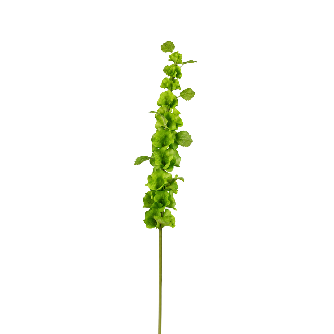 Winward natural touch Bells of Ireland stem, a 38 inch faux green flower spike, from Mood by DMJ