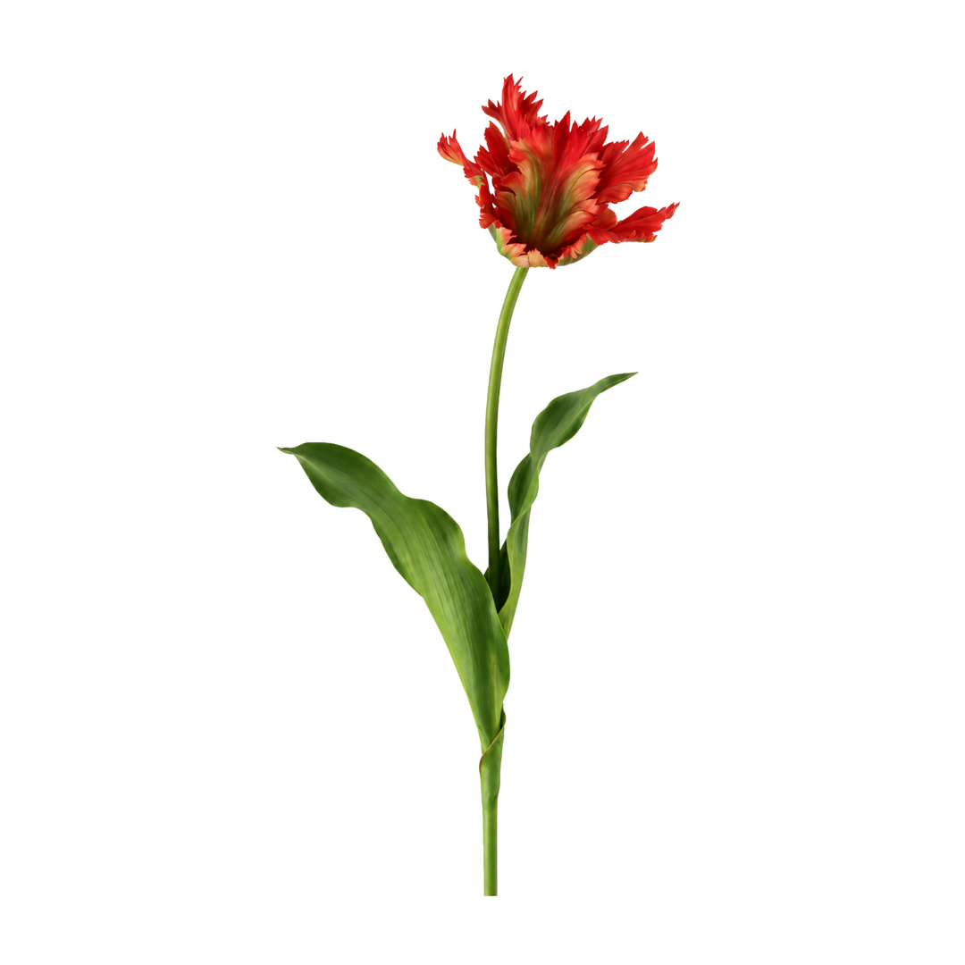 Winward natural touch orange parrot tulip stem, a 27.5 inch faux tulip with ruffled red and orange petals, from Mood by DMJ