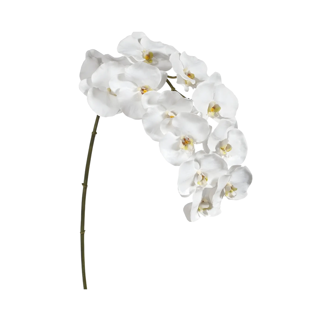 Winward natural touch phalaenopsis orchid stem in white, a 44 inch real touch faux orchid, from Mood by DMJ