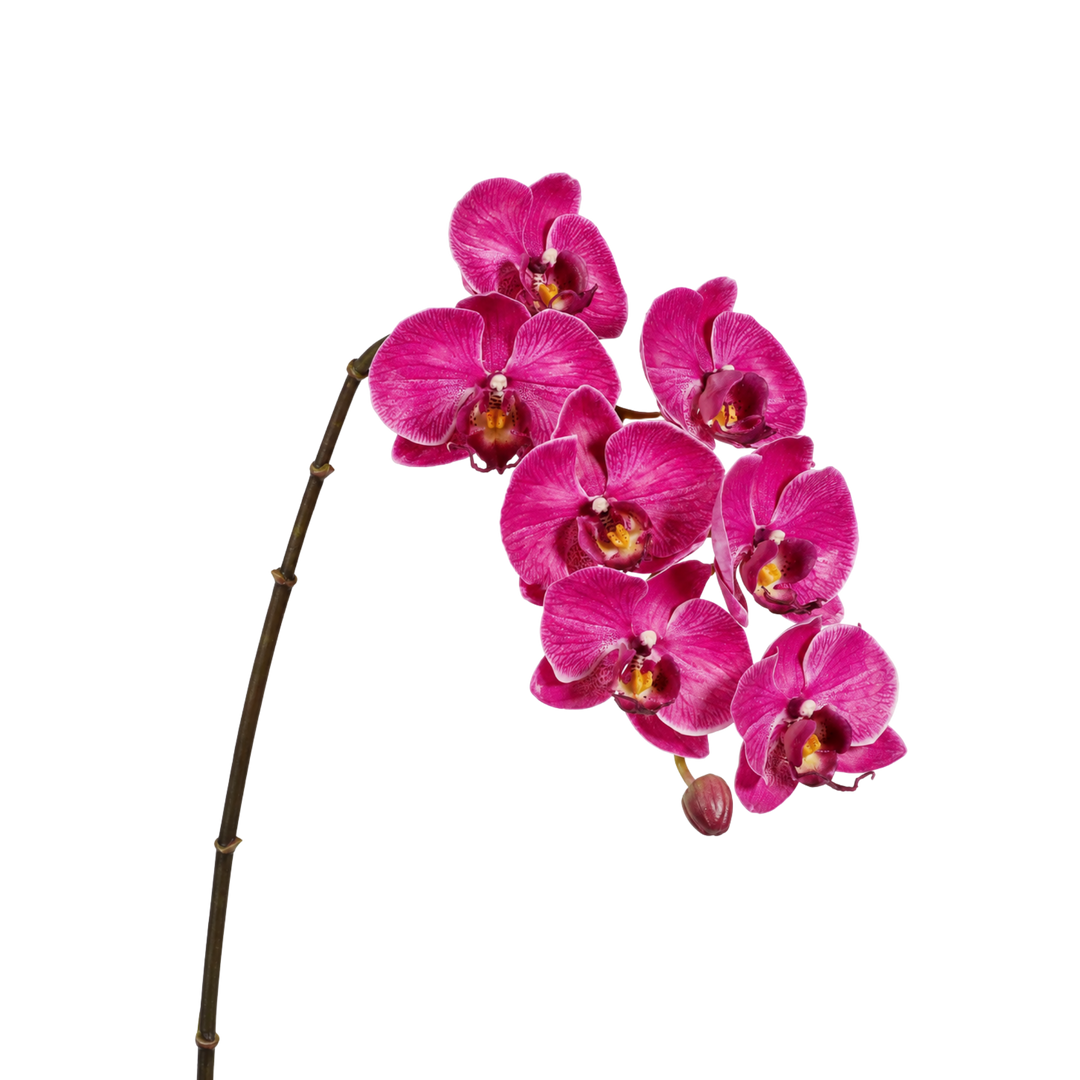 Winward natural touch pink orchid stem, a 33.5 inch faux phalaenopsis with seven fuchsia blooms, from Mood by DMJ