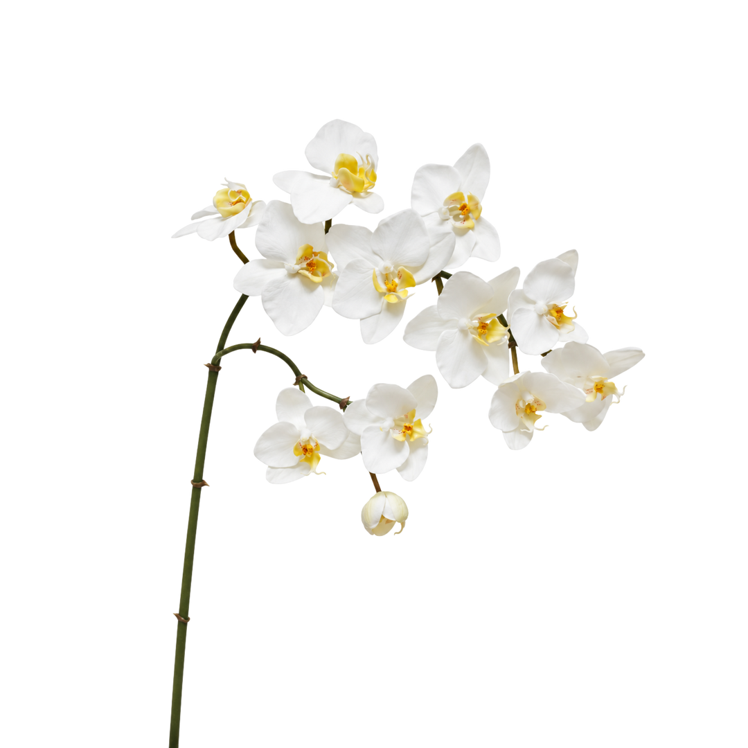 Winward natural touch white orchid spray stem, a 35 inch faux phalaenopsis spray with yellow centers, from Mood by DMJ